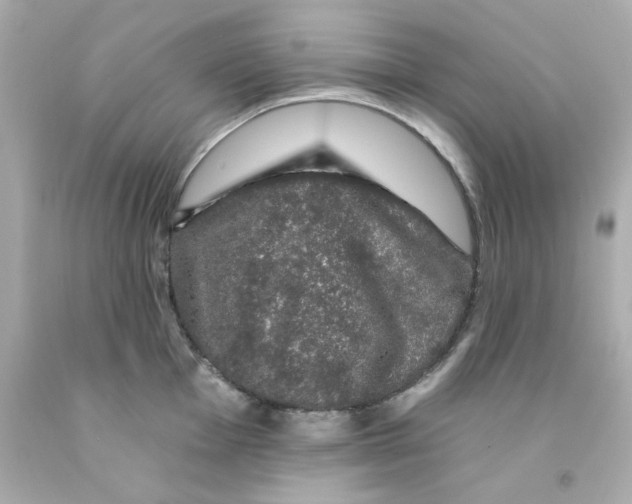 X0000093131001200710241319