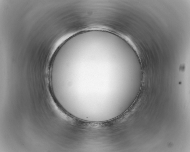 X0000093131003200710241319