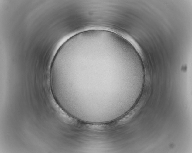 X0000093131004200710241319