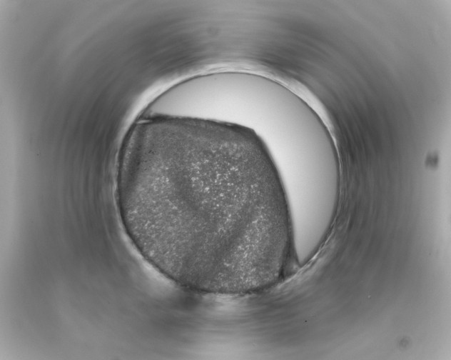 X0000093131005200710241319