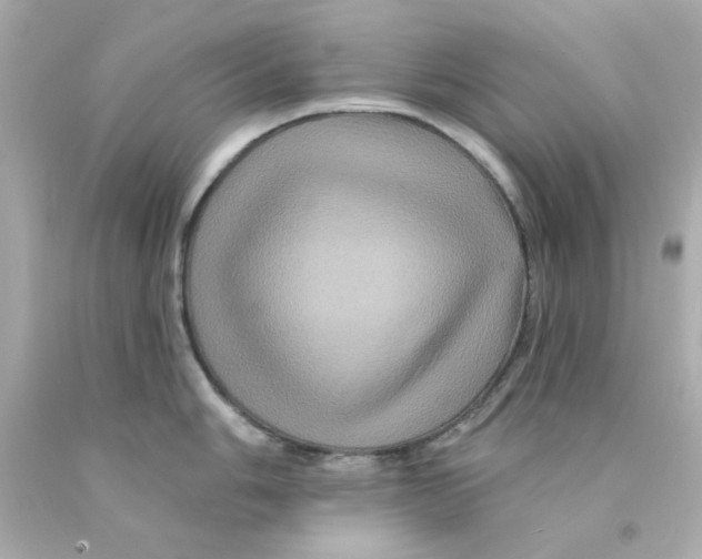 X0000093131006200710241319
