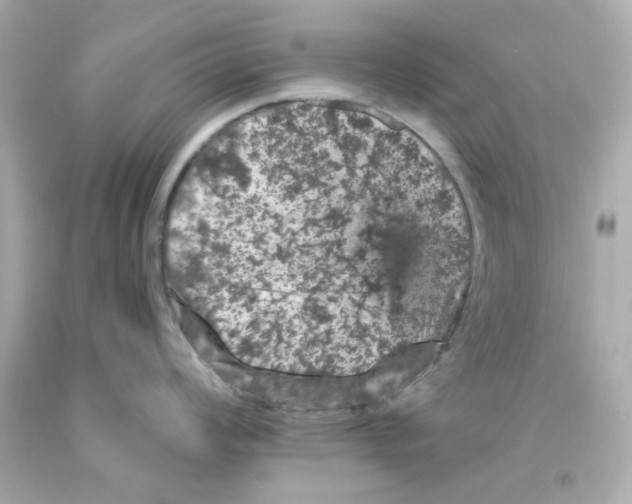 X0000093131008200710241319