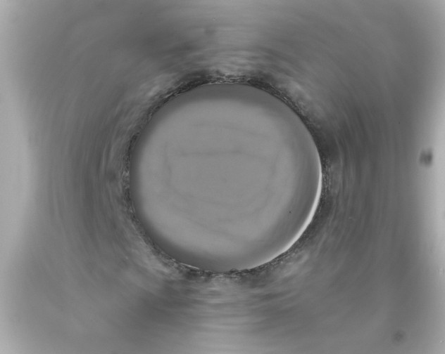X0000093131009200710241318