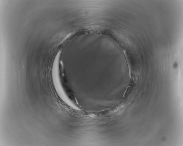 X0000093131010200710241318