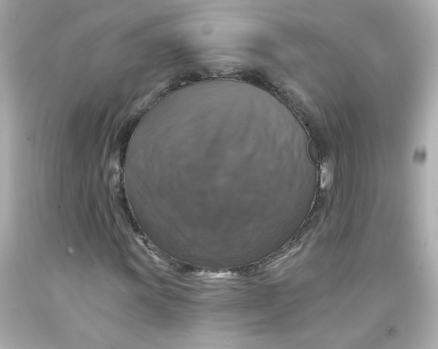 X0000093131011200710241318
