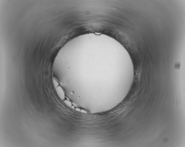 X0000093131012200710241318