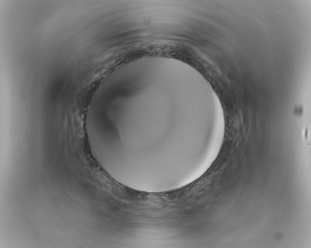 X0000093131013200710241318