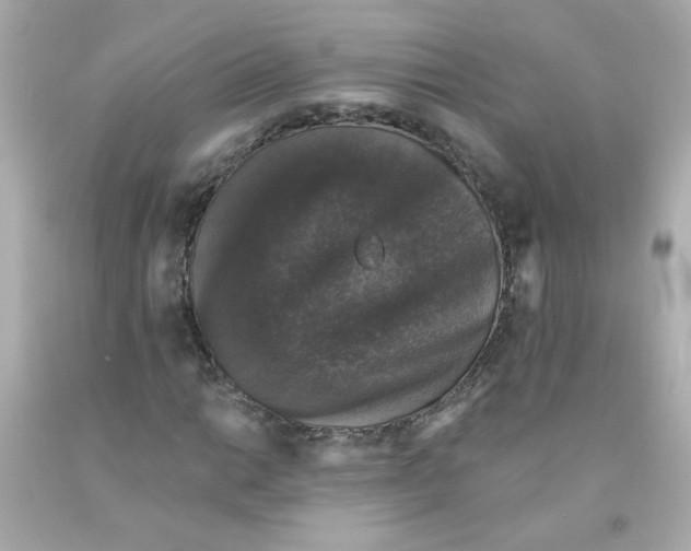 X0000093131014200710241318