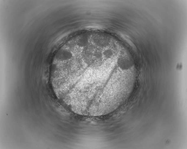 X0000093131015200710241318