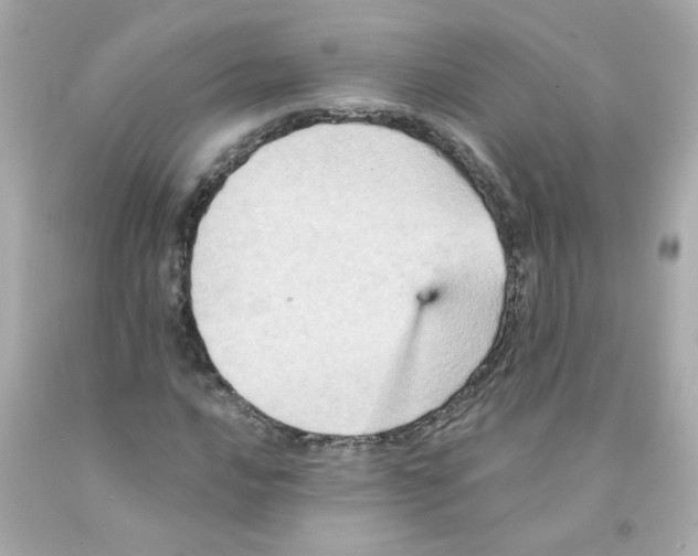 X0000093131016200710241318