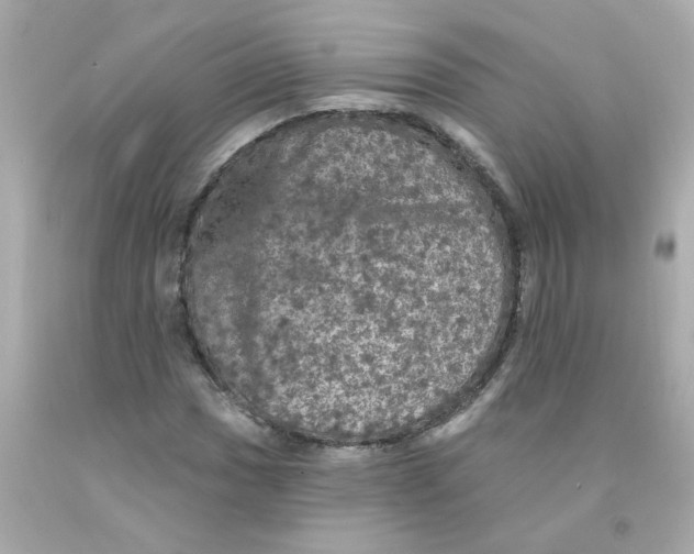 X0000093131017200710241318