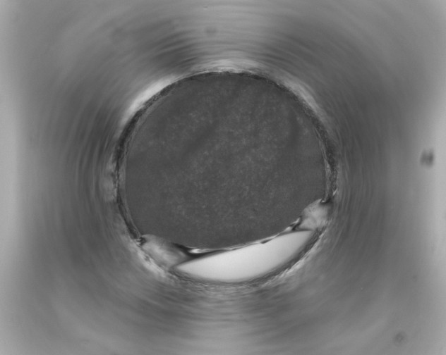 X0000093131018200710241318