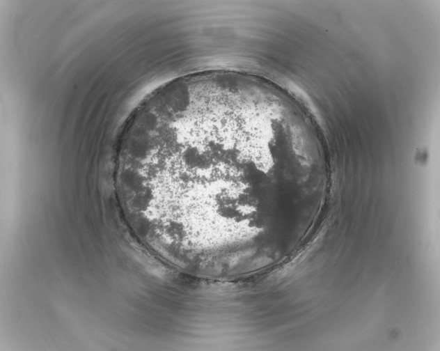 X0000093131019200710241318