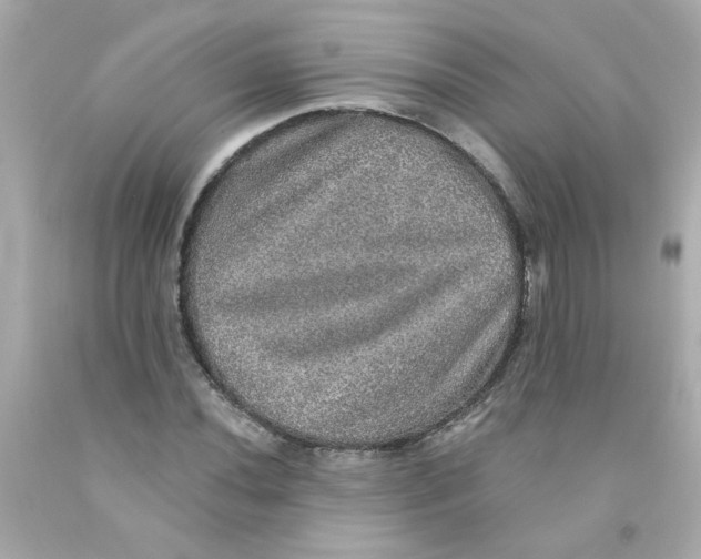 X0000093131020200710241318