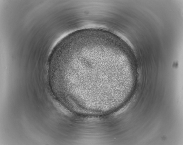 X0000093131021200710241318