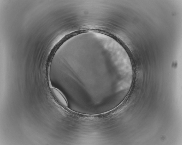 X0000093131023200710241318