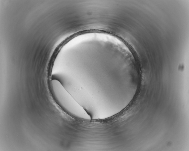 X0000093131024200710241318
