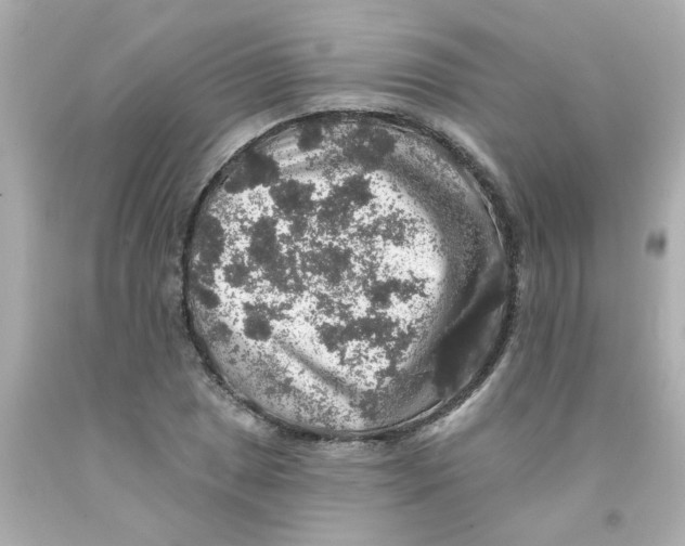 X0000093131025200710241318