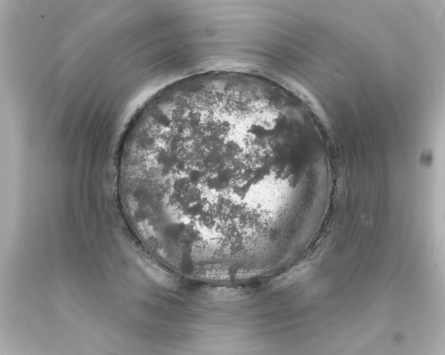 X0000093131027200710241318