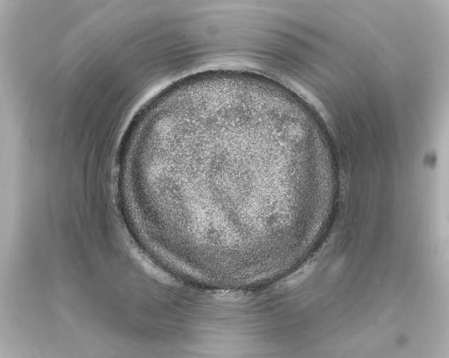 X0000093131029200710241318