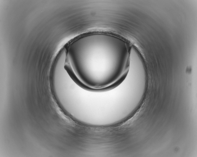 X0000093131030200710241318