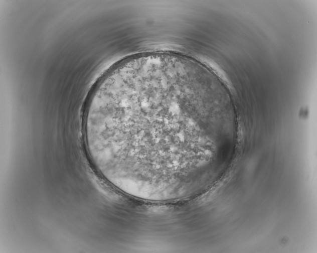 X0000093131031200710241318
