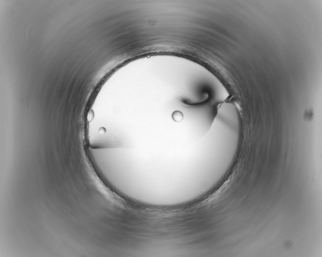 X0000093131034200710241318