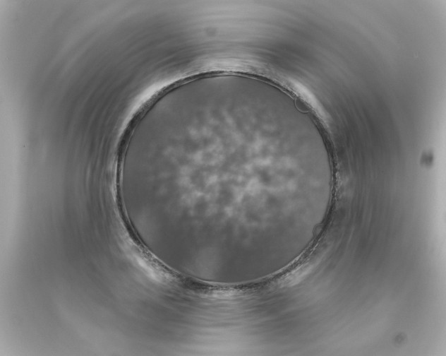 X0000093131035200710241318