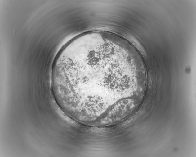 X0000093131036200710241319
