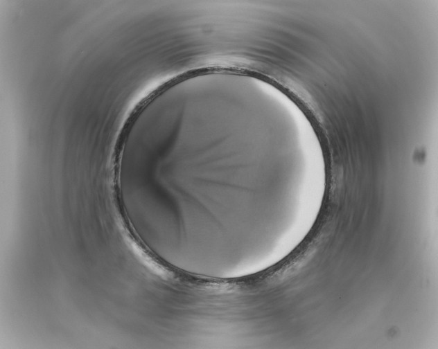 X0000093131037200710241319