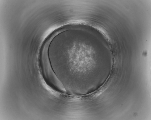X0000093131038200710241319
