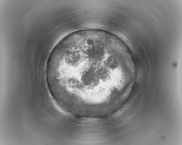 X0000093131039200710241319