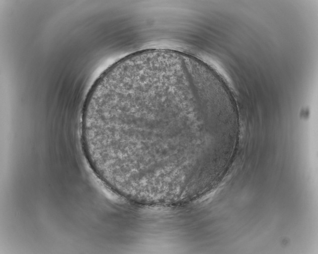 X0000093131040200710241319