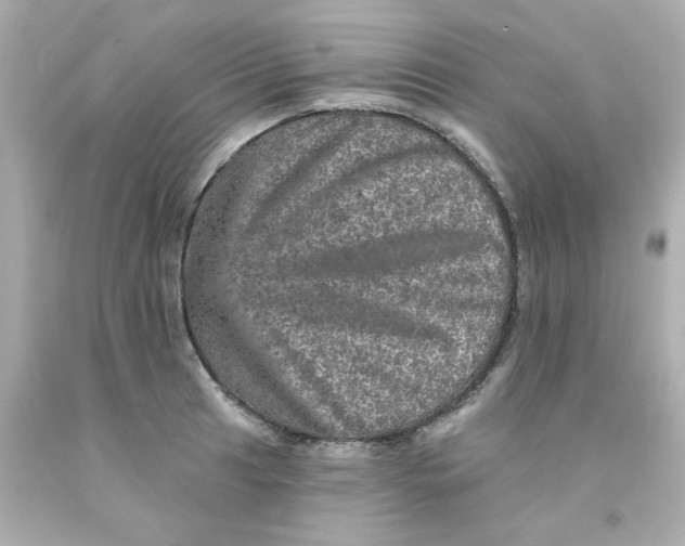 X0000093131041200710241319