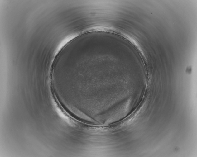 X0000093131042200710241319