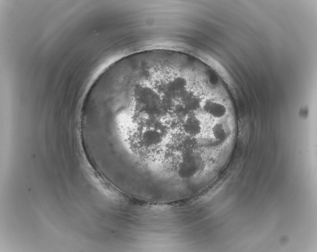 X0000093131043200710241319