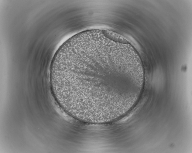 X0000093131044200710241319