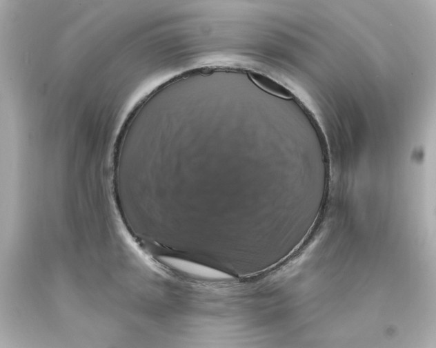 X0000093131045200710241319
