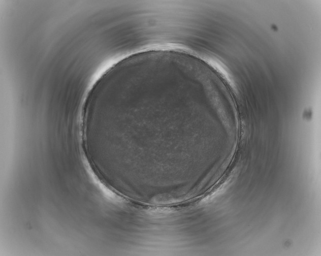 X0000093131046200710241319