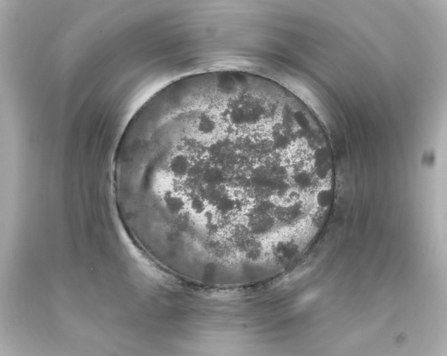 X0000093131047200710241319