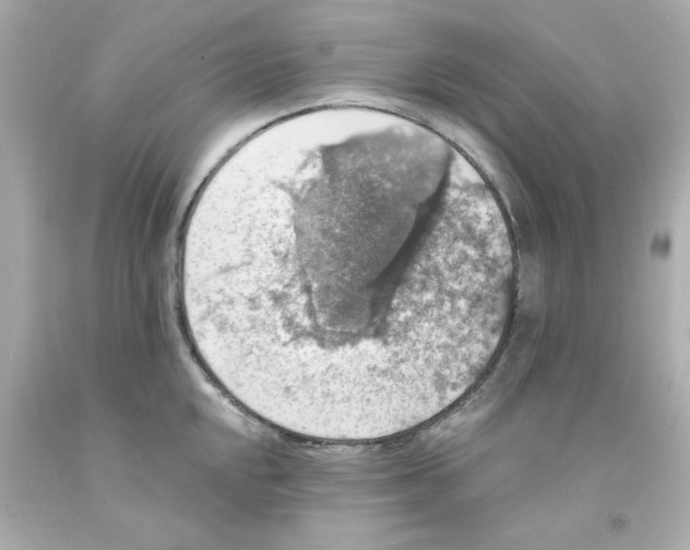 X0000093131048200710241319