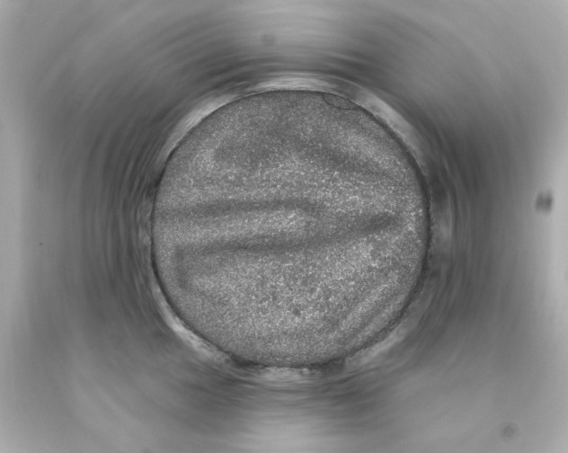 X0000093131049200710241319