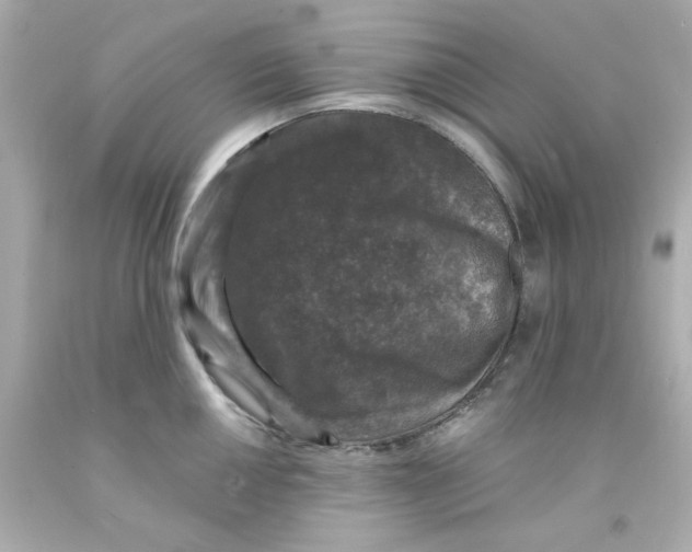 X0000093131050200710241319