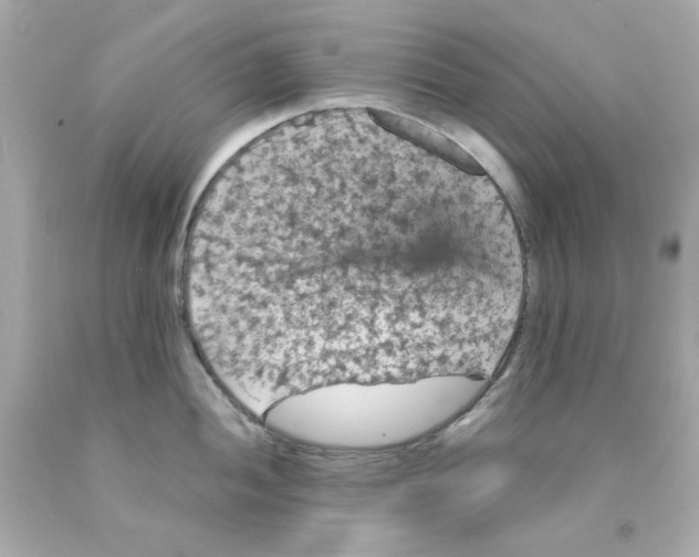 X0000093131052200710241319