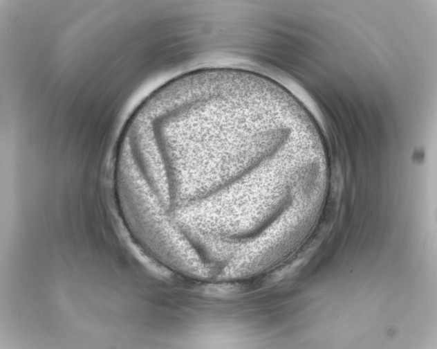 X0000093131053200710241319