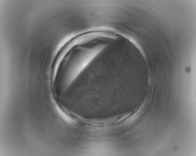 X0000093131054200710241319