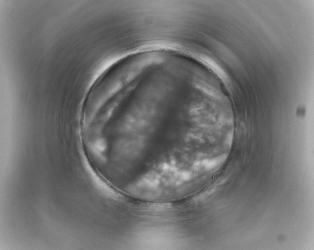 X0000093131055200710241319