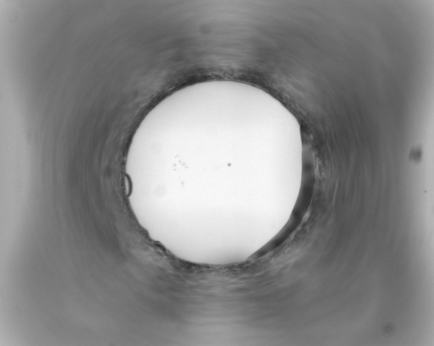 X0000093131057200710241318