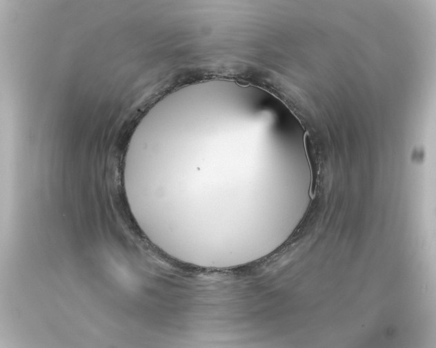 X0000093131058200710241318