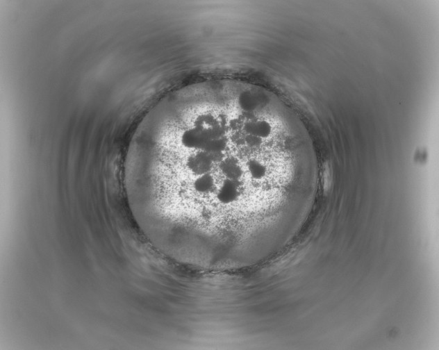 X0000093131059200710241318
